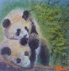 熊猫宝宝3