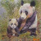熊猫宝宝7